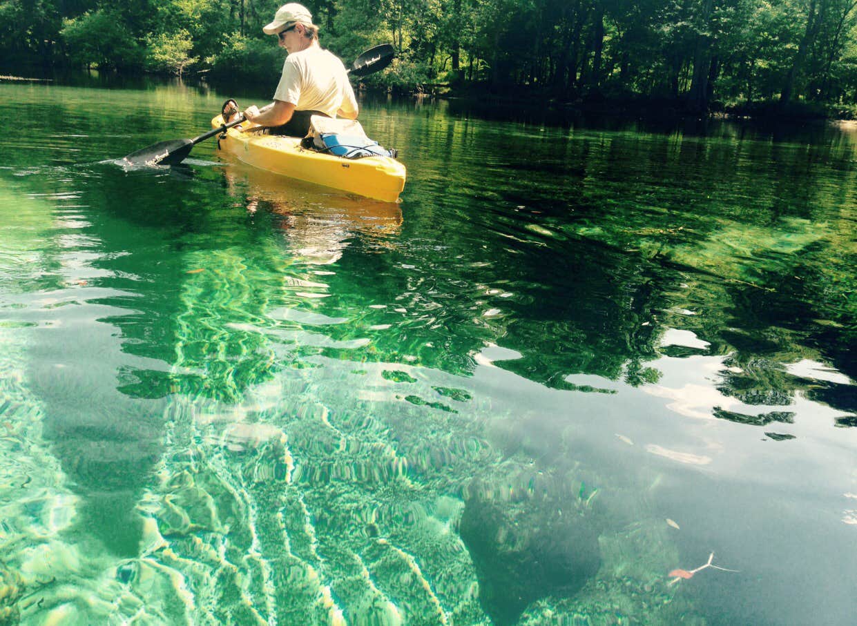 Camper submitted image from Juniper Springs Rec Area - Tropical Camp Area - 5