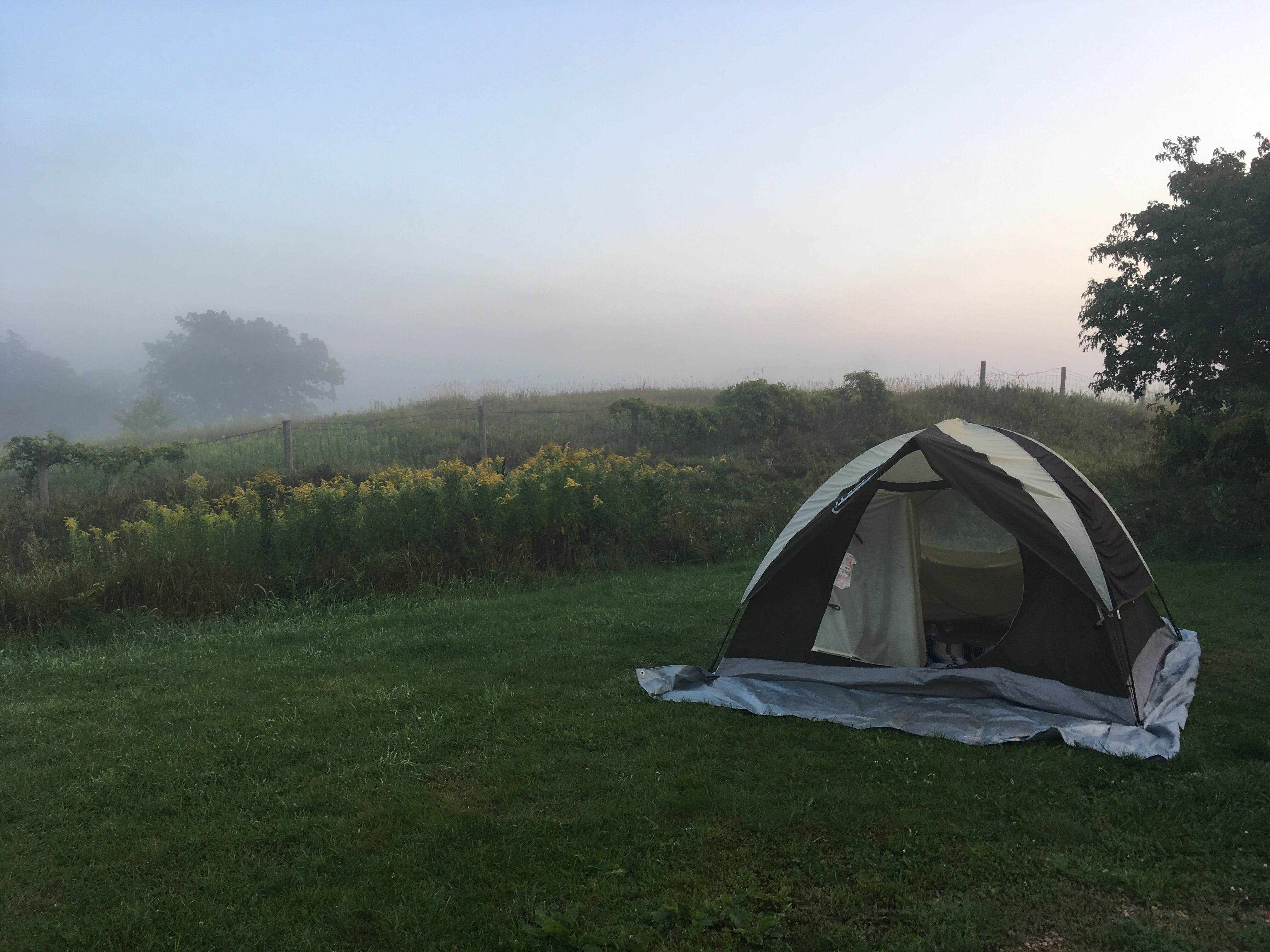 Camper submitted image from Lake Elmo County Park Reserve - 3