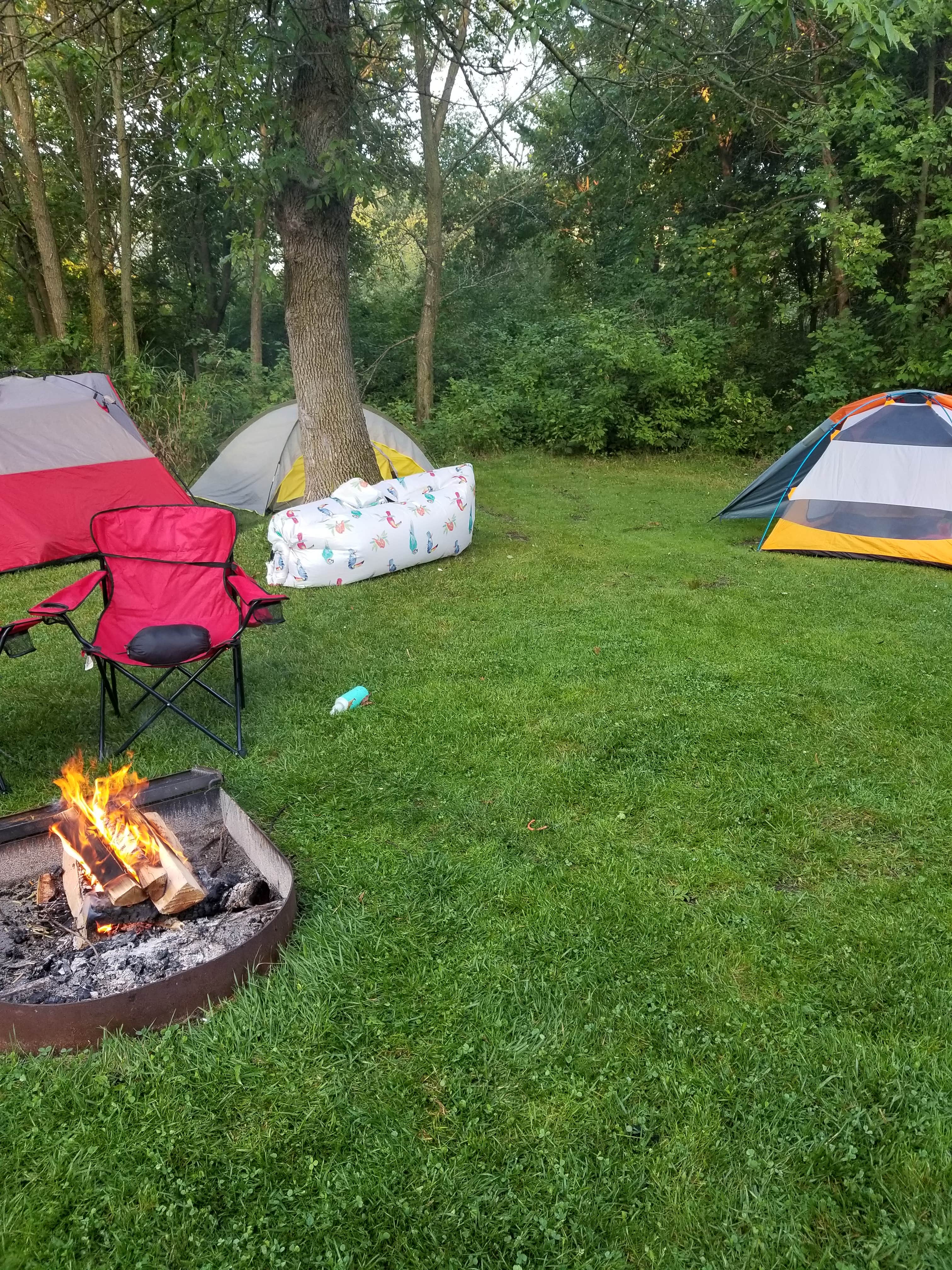 Camper submitted image from Rice Creek Chain of Lakes Regional Park - 2