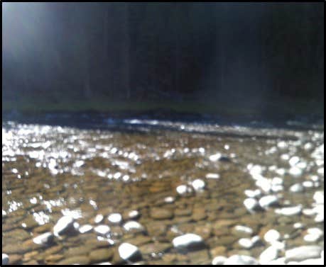 Camper-submitted photo at Ohara Bar Campground near Kooskia, ID