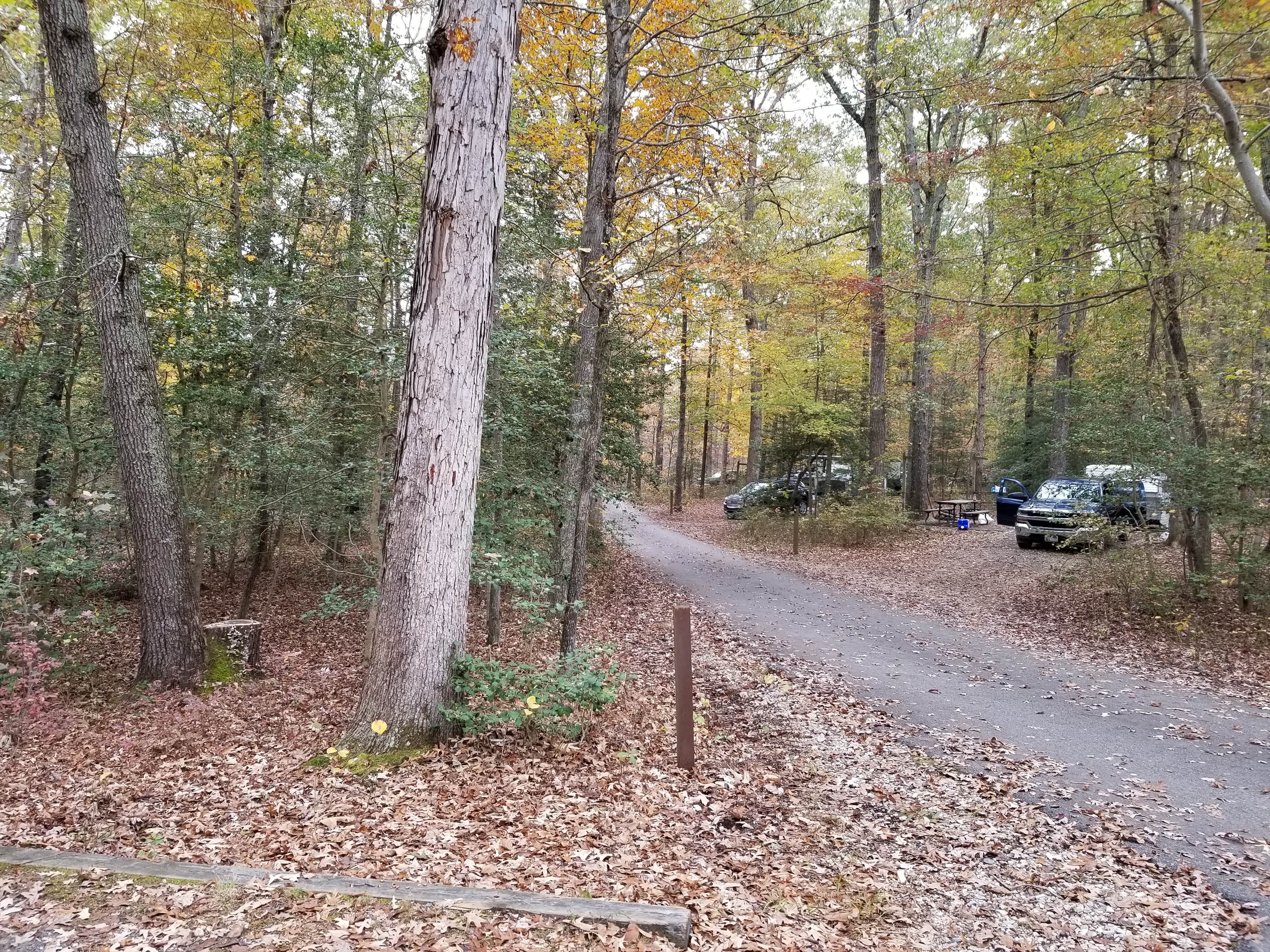 Camper submitted image from Cedarville State Forest - 3