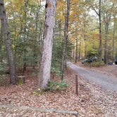 Review photo of Cedarville State Forest by Chris F., October 31, 2019
