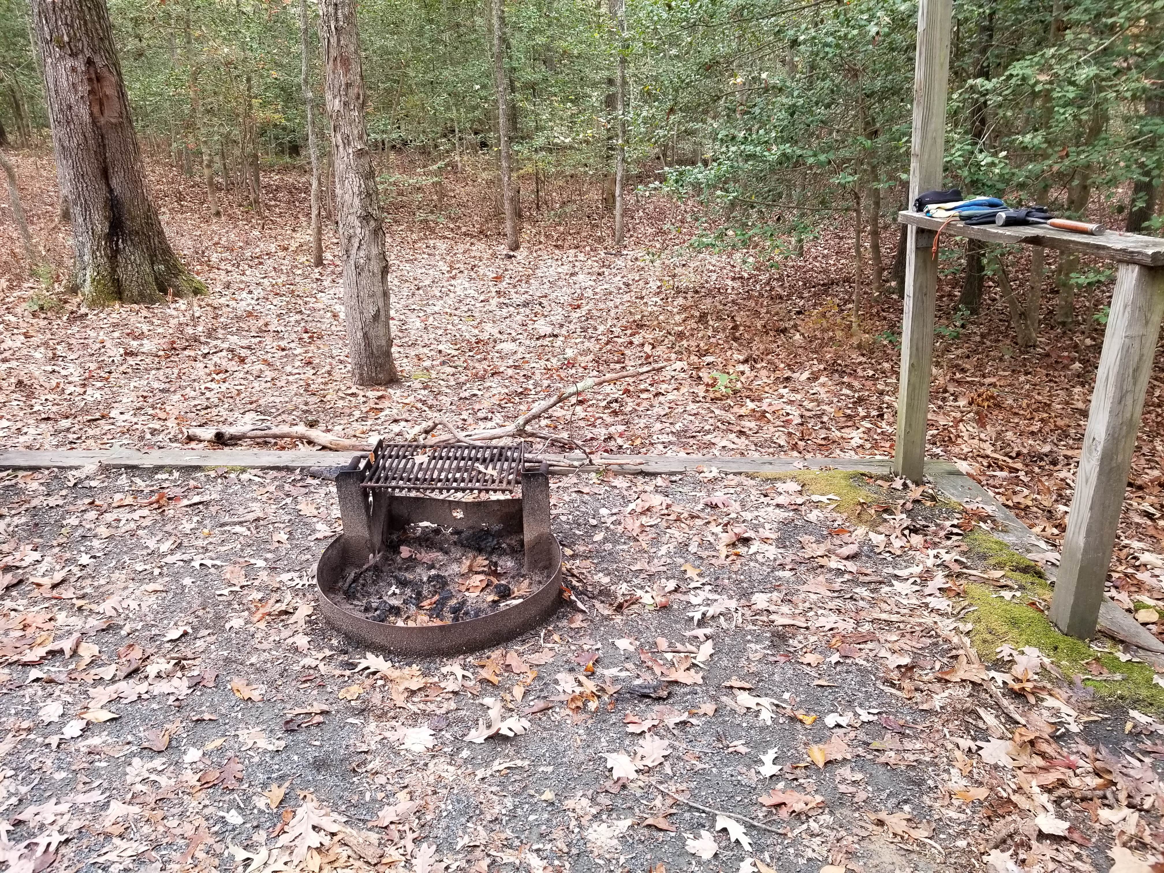 Camper submitted image from Cedarville State Forest - 2