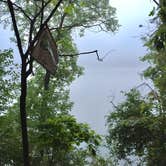 Review photo of Afton State Park Campground by Erik B., August 19, 2017
