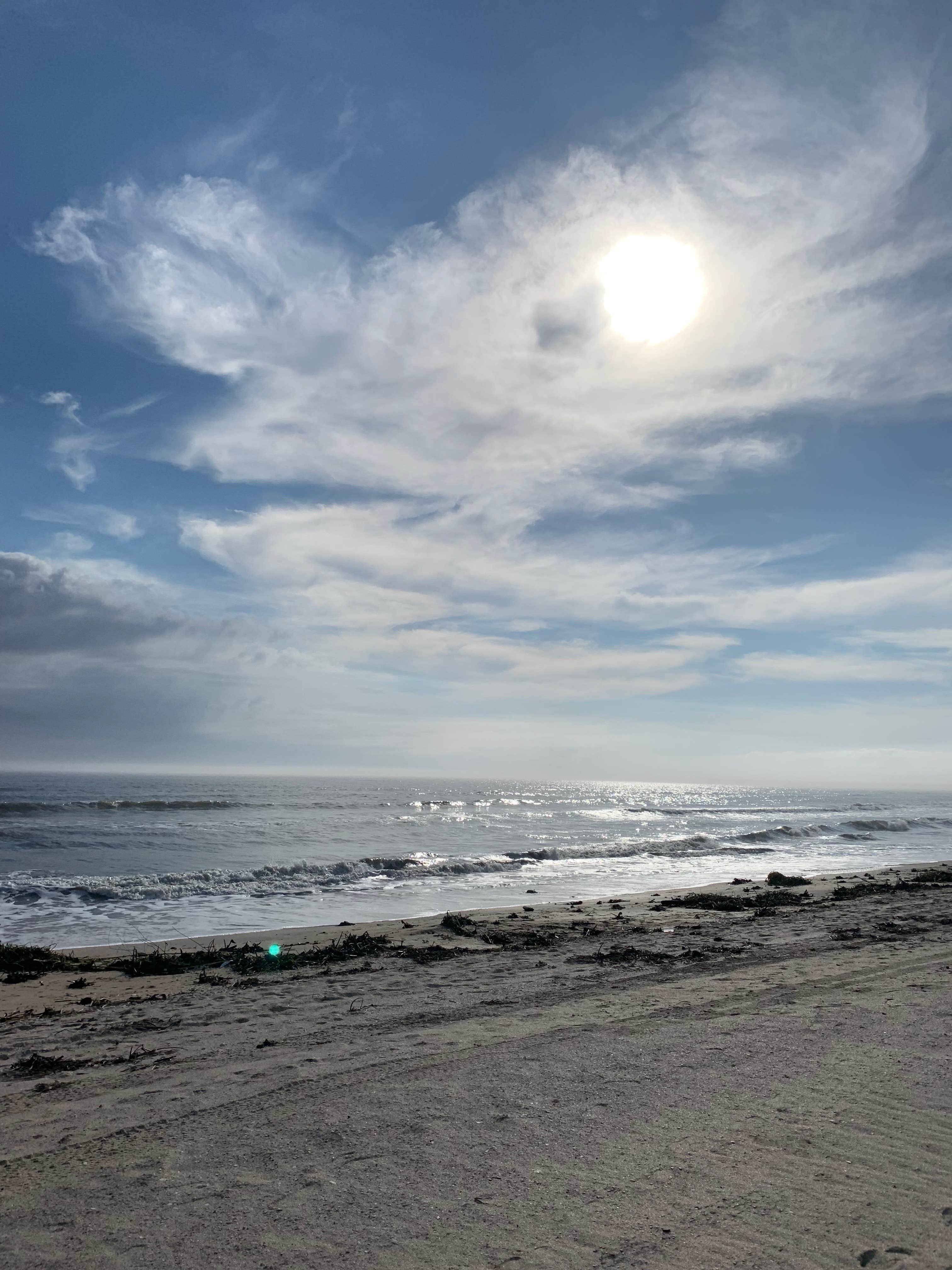 Bounding Around's photo of a dispersed camping area at Rutherford Beach Dispersed Camping near Cameron, LA