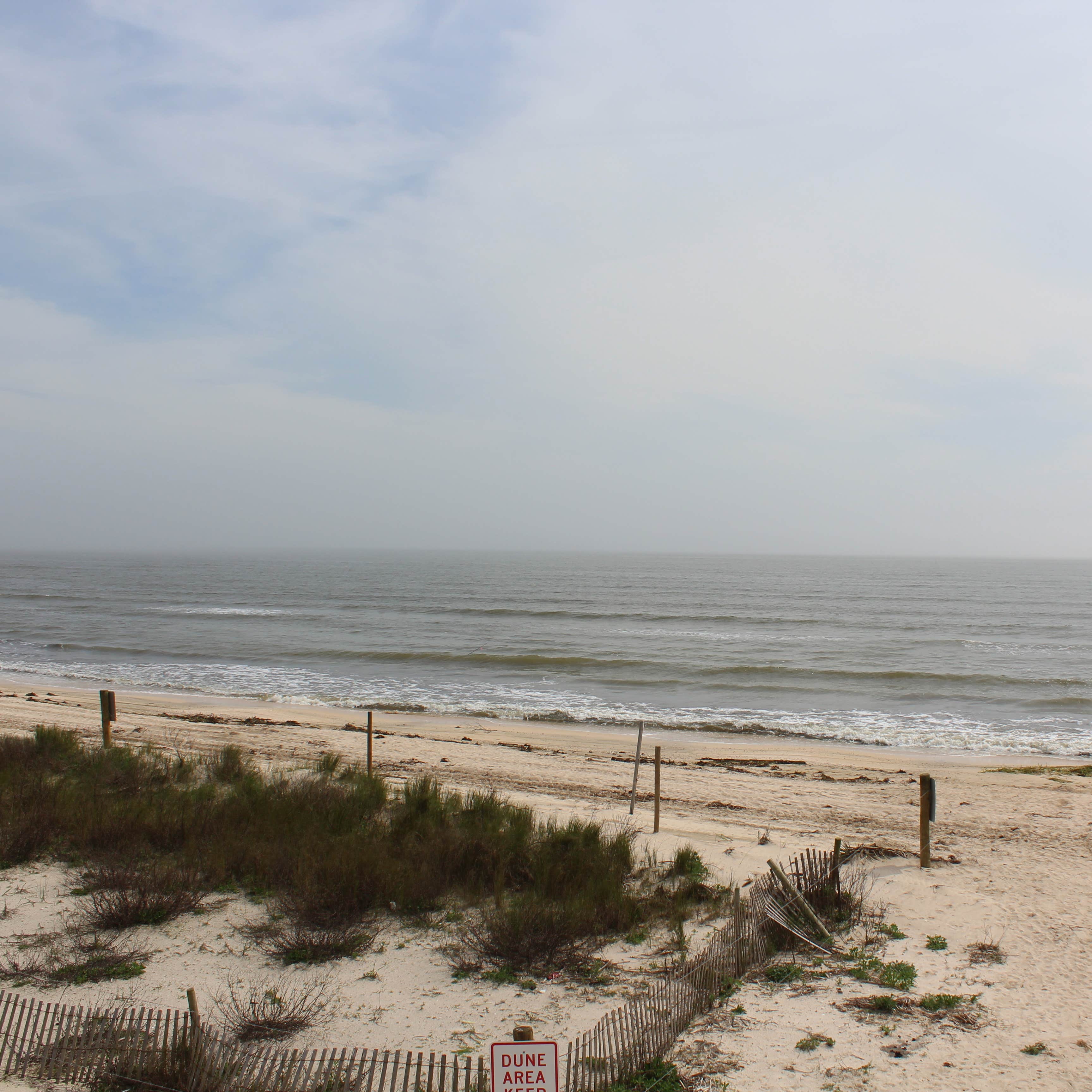 Rutherford Beach Campground Camping | Creole, LA | The Dyrt