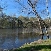 Review photo of Davis Roadside Park by Bounding Around , October 31, 2019