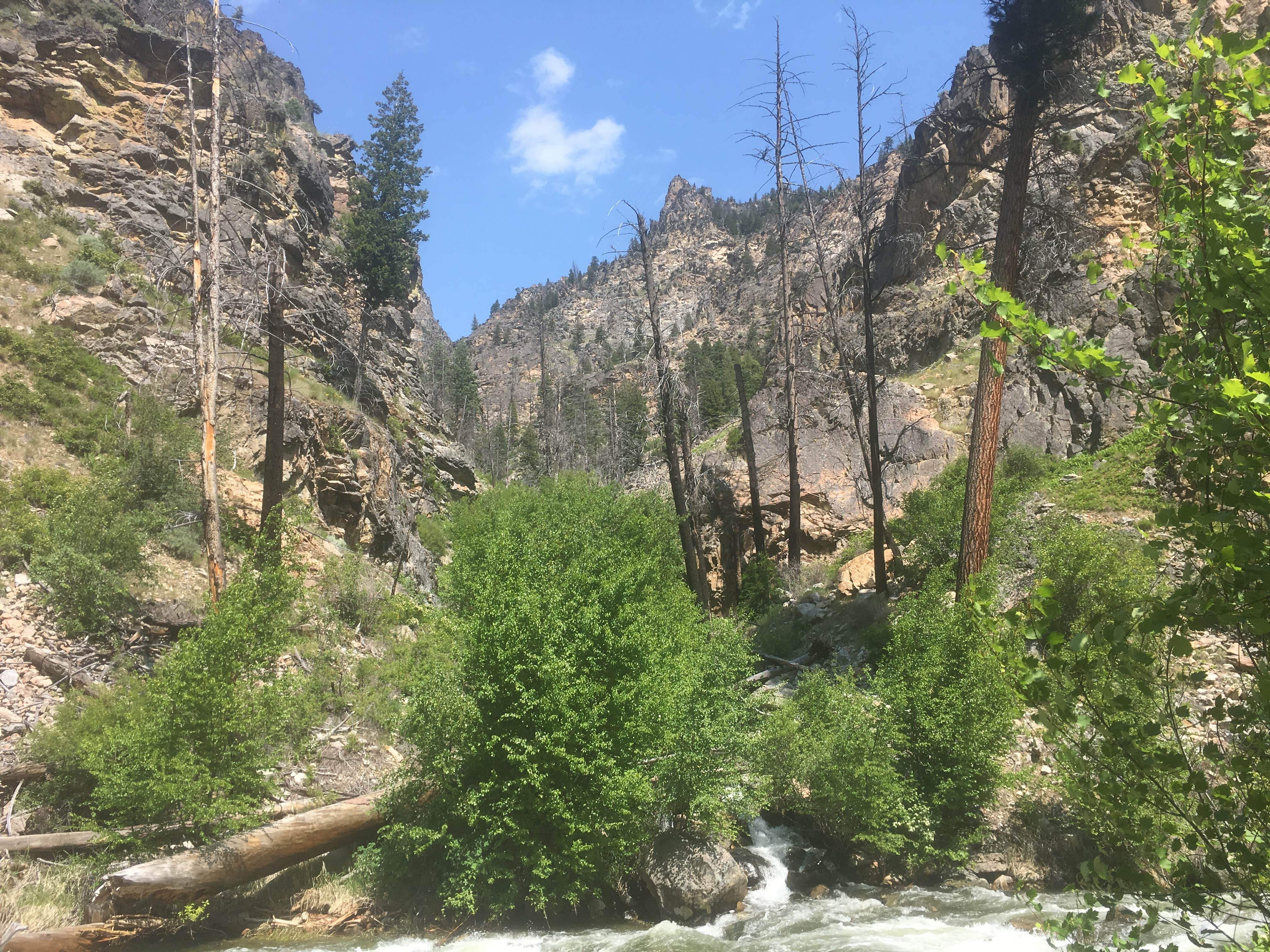 Camper submitted image from Yellowjacket Guard Station - 4