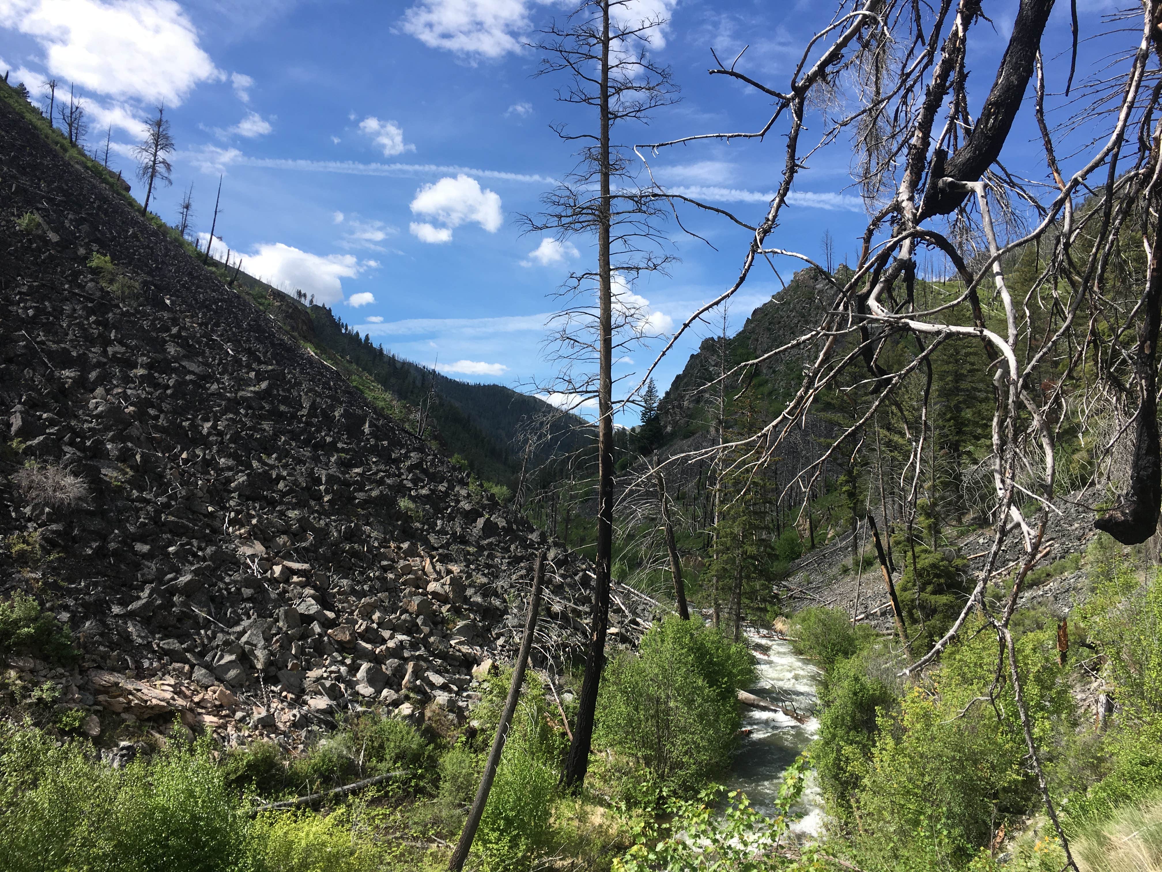 Camper submitted image from Yellowjacket Guard Station - 5