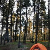 Review photo of Saddle Campground by Rachel H., August 19, 2017