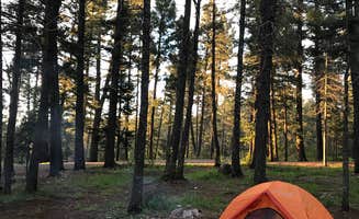 Rachel H.'s photo at Saddle Campground near Bent, NM
