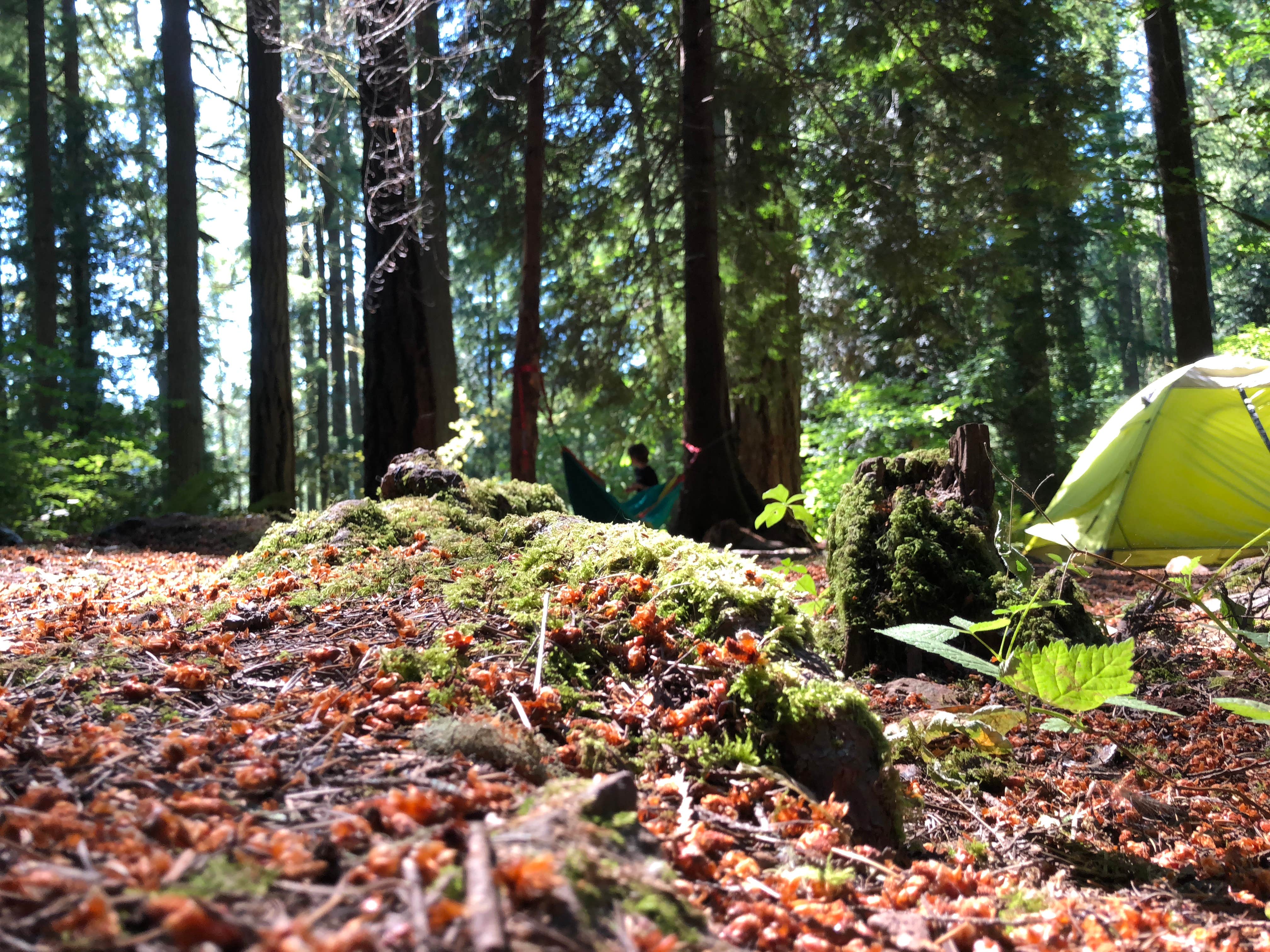 Corinna B.'s photo at Battle Ground Lake State Park Campground near Portland, OR