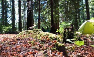 Corinna B.'s photo at Battle Ground Lake State Park Campground near Yacolt, WA