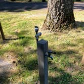 Review photo of Moorage Camp and Boat Launch — Beacon Rock State Park by Corinna B., May 31, 2018