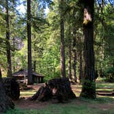 Review photo of Beacon Rock State Park Campground by Corinna B., May 31, 2018