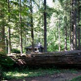 Review photo of Beacon Rock State Park Campground by Corinna B., May 31, 2018