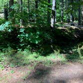 Review photo of Beacon Rock State Park Campground by Corinna B., May 31, 2018