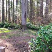 Review photo of Olympia Campground by Corinna B., April 3, 2019