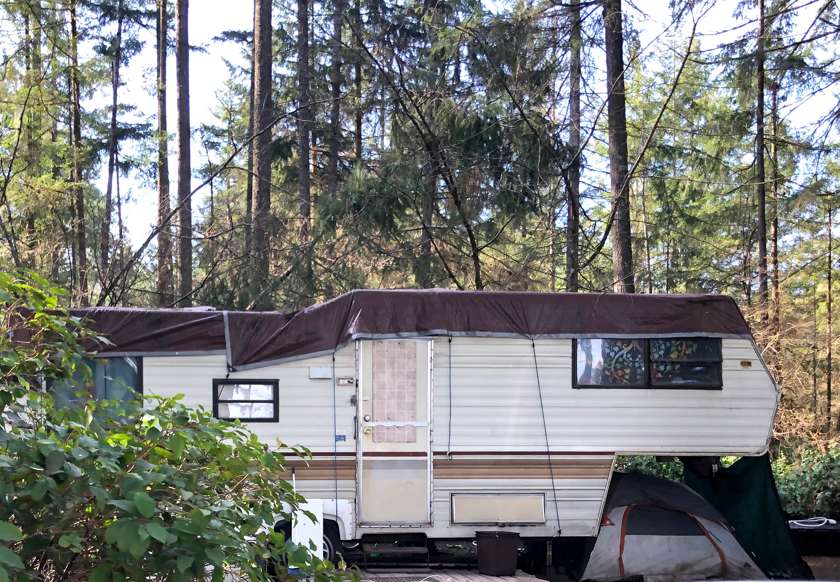 Camper-submitted photo at Olympia Campground near Rochester, WA