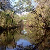 Review photo of Hontoon Island State Park Campground by Rebecca E., August 19, 2017
