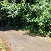 Review photo of Paradise Point State Park Campground by Corinna B., July 11, 2018