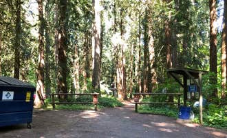 Camping near Scappoose Bay Marine Park: Paradise Point State Park Campground, La Center, Washington