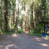 Review photo of Paradise Point State Park Campground by Corinna B., July 11, 2018