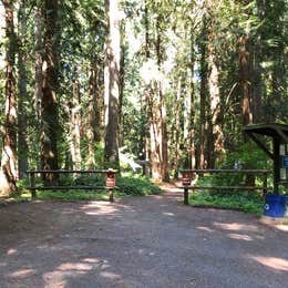 Paradise Point State Park Campground