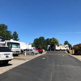 Review photo of Vancouver RV Park by Corinna B., July 11, 2018