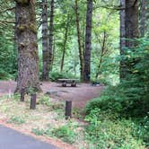 Review photo of Mount Hood National Forest Sunstrip Campground - TEMPORARILY CLOSE DUE TO FIRE DAMAGE by Corinna B., September 2, 2018