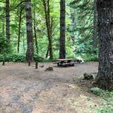 Review photo of Mount Hood National Forest Sunstrip Campground - TEMPORARILY CLOSE DUE TO FIRE DAMAGE by Corinna B., September 2, 2018