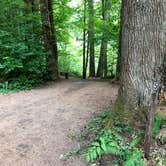 Review photo of Mount Hood National Forest Sunstrip Campground - TEMPORARILY CLOSE DUE TO FIRE DAMAGE by Corinna B., September 2, 2018