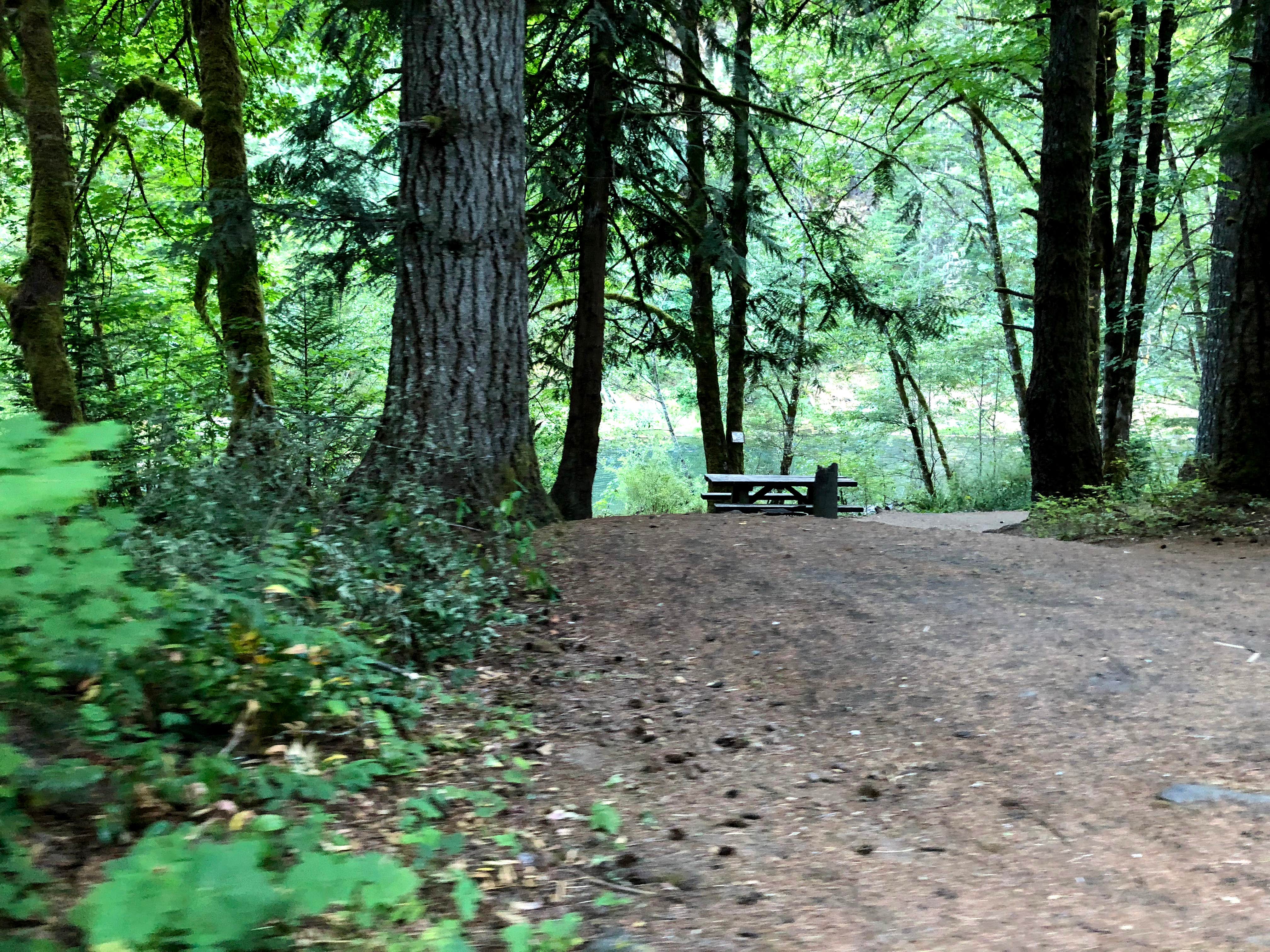 Mount Hood National Forest Sunstrip Campground - TEMPORARILY CLOSE DUE TO FIRE DAMAGE