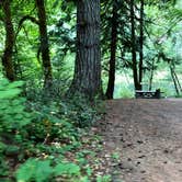 Review photo of Mount Hood National Forest Sunstrip Campground - TEMPORARILY CLOSE DUE TO FIRE DAMAGE by Corinna B., September 2, 2018