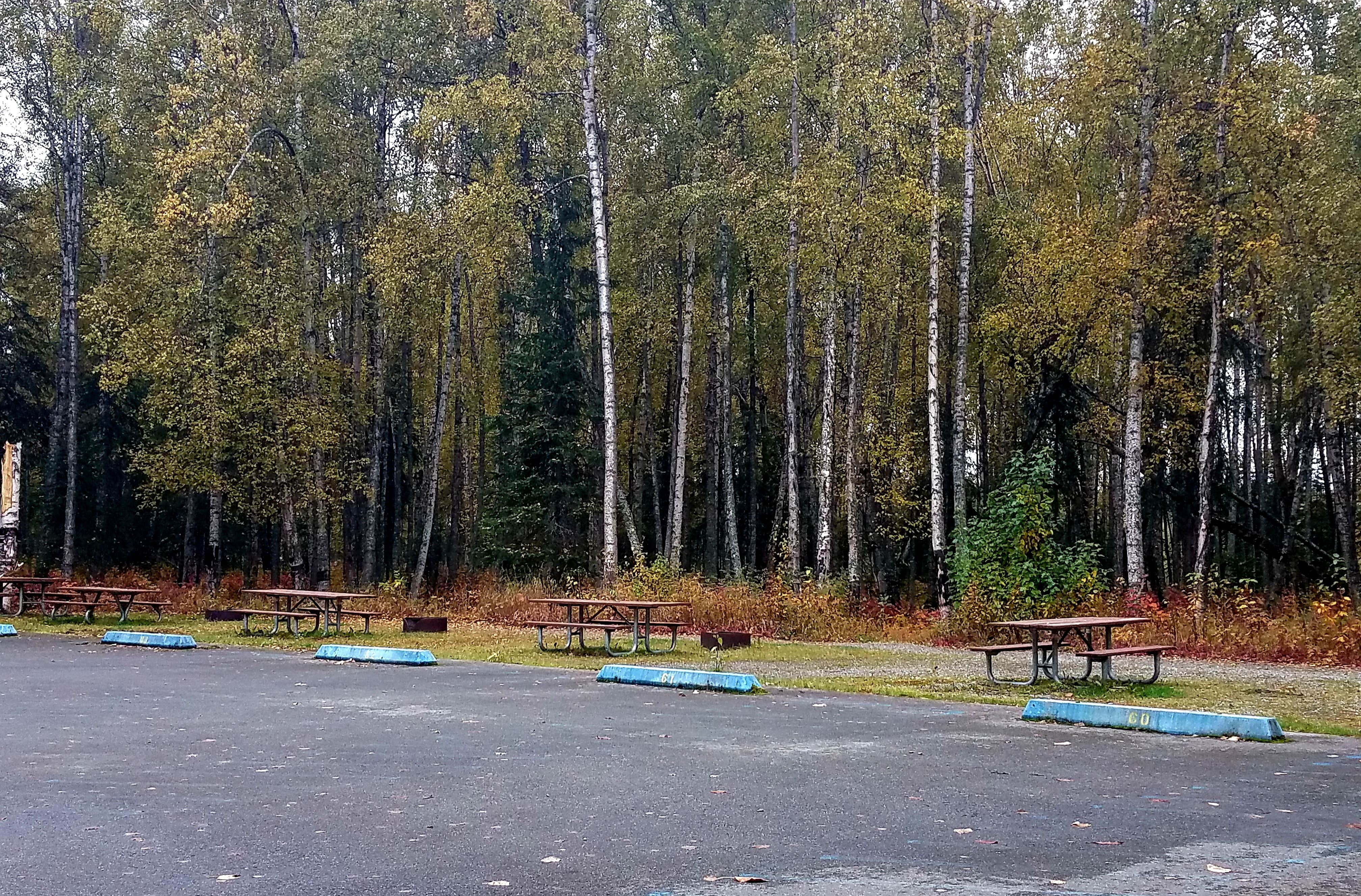 Camping near Pioneer Lodge: Willow Creek State Rec Area, Willow, Alaska