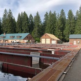 Review photo of Marion Forks Campground by Brian C., October 31, 2019