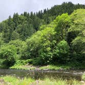 Review photo of Tillamook Forest Dispersed on the Nehalem River by Corinna B., July 17, 2018