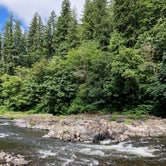 Review photo of Tillamook Forest Dispersed on the Nehalem River by Corinna B., July 17, 2018