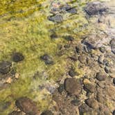 Review photo of Tillamook Forest Dispersed on the Nehalem River by Corinna B., July 17, 2018