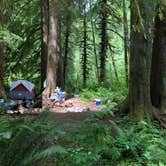 Review photo of Tillamook Forest Dispersed on the Nehalem River by Corinna B., July 17, 2018