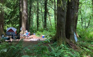 Corinna B.'s photo at Tillamook Forest Dispersed on the Nehalem River in Oregon