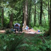 Review photo of Tillamook Forest Dispersed on the Nehalem River by Corinna B., July 17, 2018