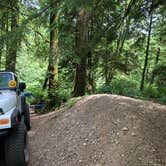 Review photo of Tillamook Forest Dispersed on the Nehalem River by Corinna B., July 17, 2018