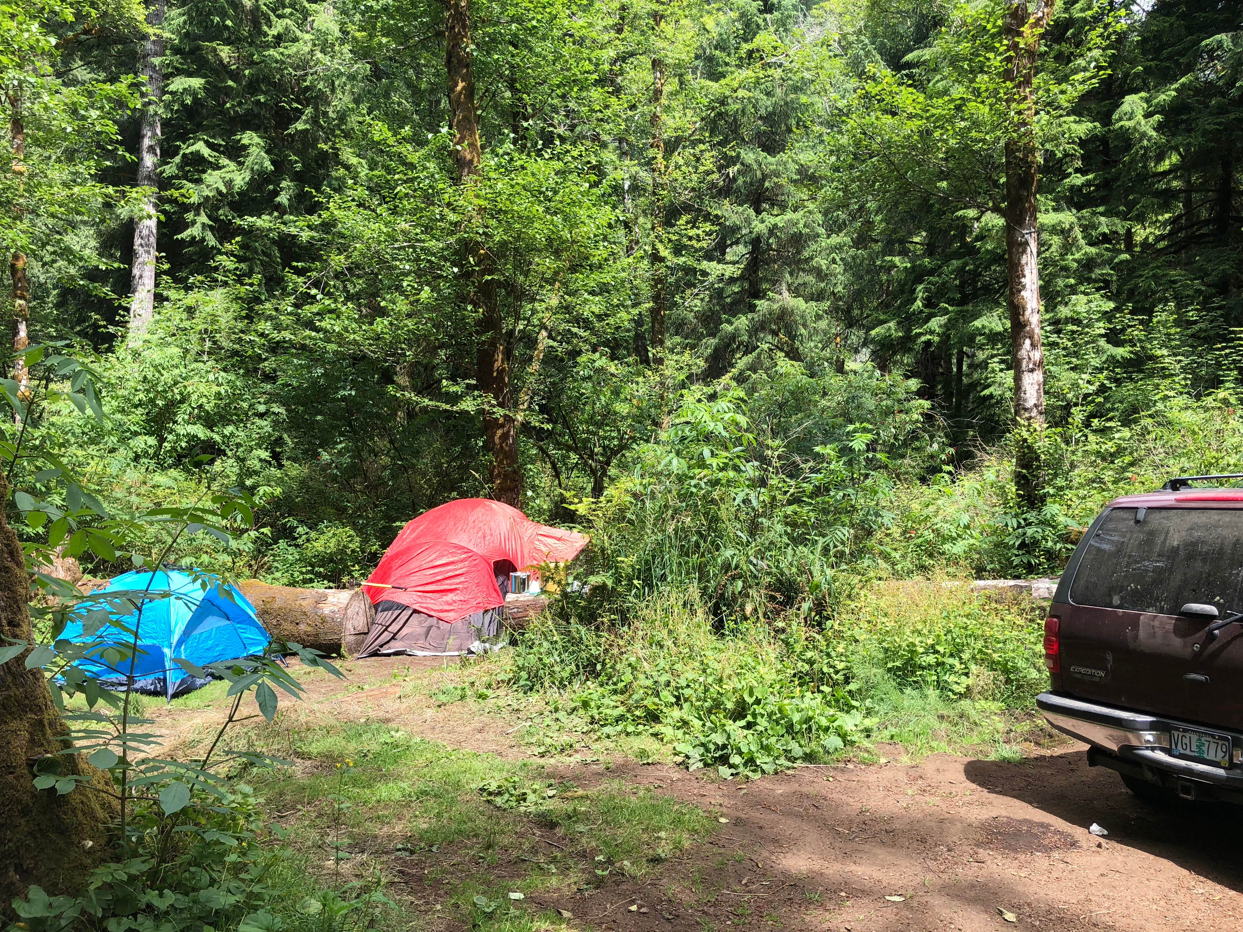 Corinna B.'s photo of tent camping at Tillamook Forest Dispersed on the Nehalem River near Buxton, OR