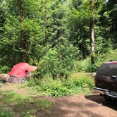 Review photo of Tillamook Forest Dispersed on the Nehalem River by Corinna B., July 17, 2018