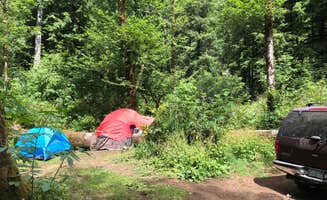 Corinna B.'s photo at Tillamook Forest Dispersed on the Nehalem River near Nehalem, OR