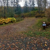 Review photo of South Rolly Lake Campground by Shadara W., October 31, 2019