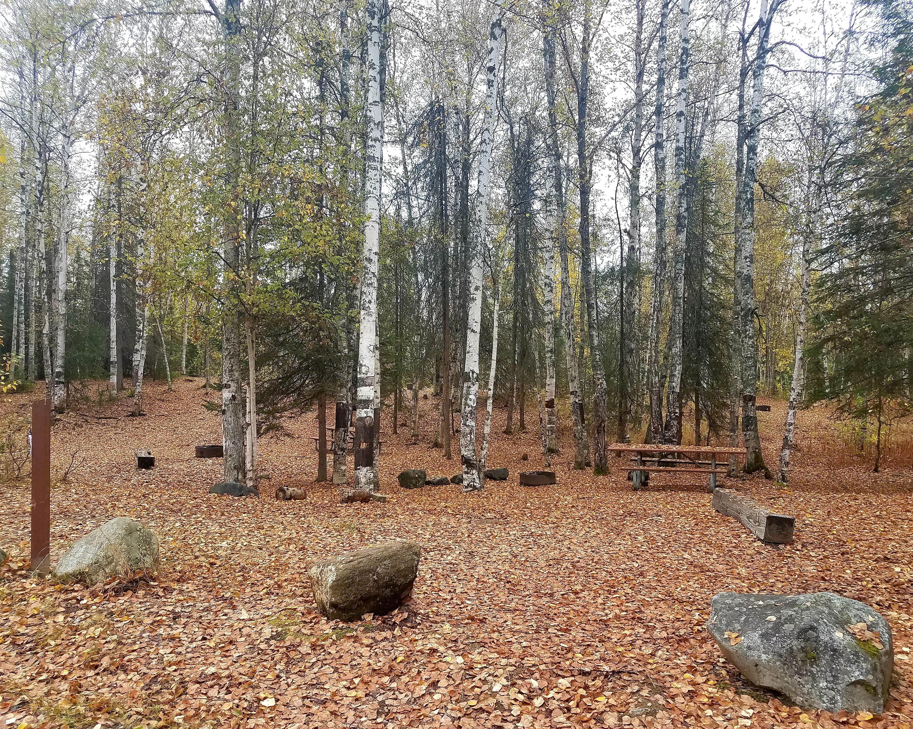 Camper submitted image from Nancy Lake State Recreation Site - 3