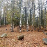 Review photo of Nancy Lake State Recreation Site by Shadara W., October 31, 2019