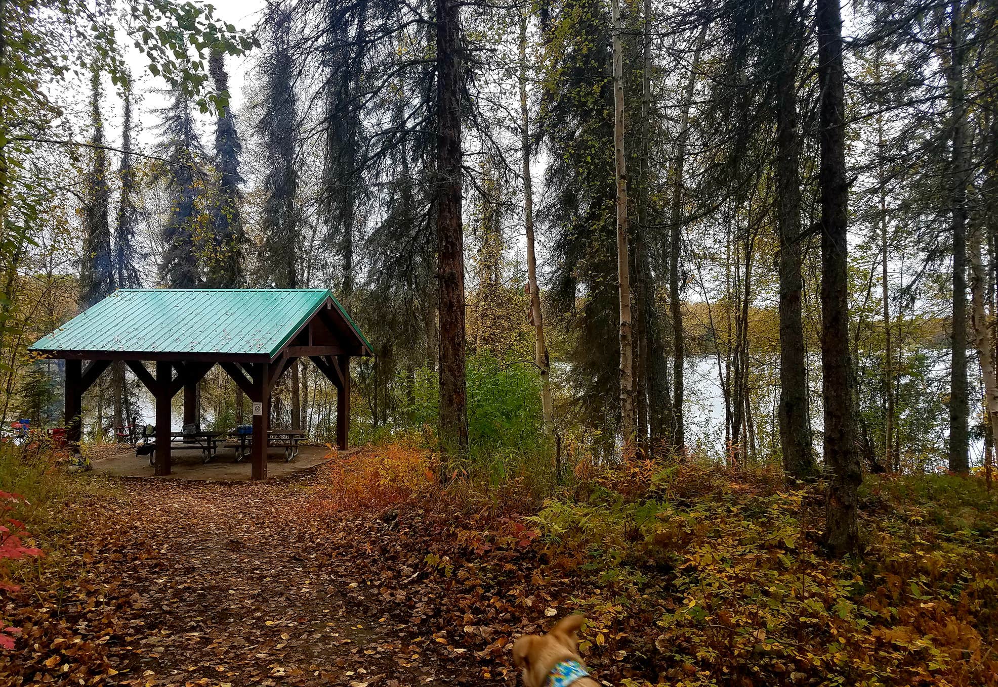 Nancy Lake State Rec Area The Dyrt